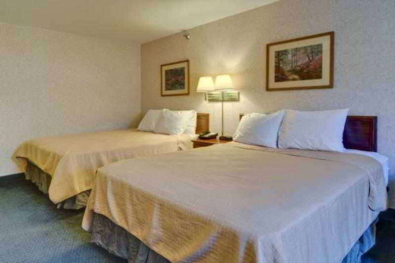 Best Western Plaza Hotel סאוגטוק חדר תמונה